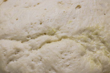 yeast dough as background. texture of fermented dough. ferment for baking.