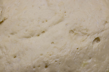 yeast dough as background. texture of fermented dough. ferment for baking.