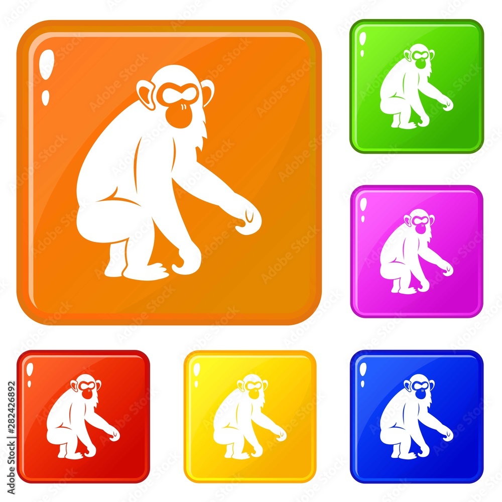 Poster macaque icons set collection vector 6 color isolated on white background