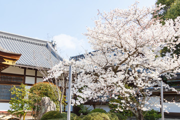 village in Japan