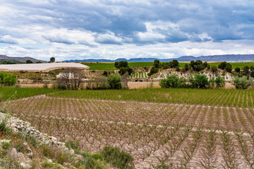 Fototapeta na wymiar Landscape view of Cieza near Murcia in Spain