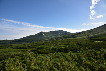 Fototapeta na wymiar 日本の北海道の最高峰である旭岳