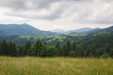 Fototapeta premium Mountain landscape before the rain. Carpathian Mountains, Ukraine.