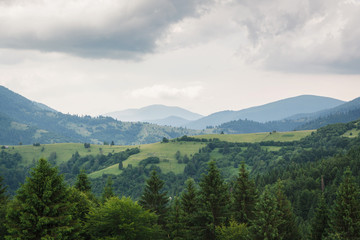 Fototapeta na wymiar Mountain landscape before the rain. Carpathian Mountains, Ukraine.