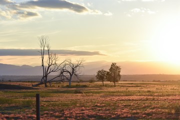sunset over a field