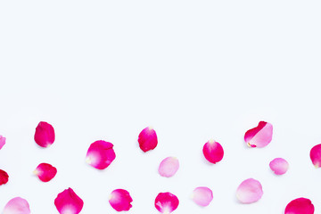 Rose petals isolated on white.