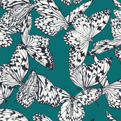 Butterfly seamless pattern
