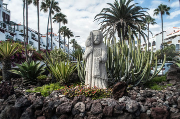 Cactus plants in seaside