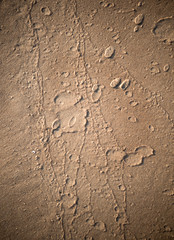 Sand background texture