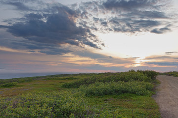 SREDNIY PENINSULA, MURMANSK REGION, Algae thrown surf, shore of the Arctic Ocean, Sredniy peninsula