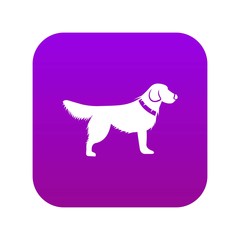 Dog icon digital purple for any design isolated on white vector illustration