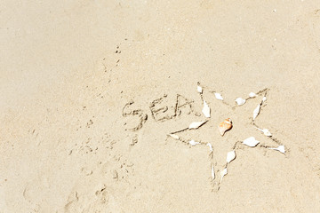Starfish on the light sea sand. Texture of light sand. The concept of a beach holiday. Summer concept. Flat lay, top view, copy space