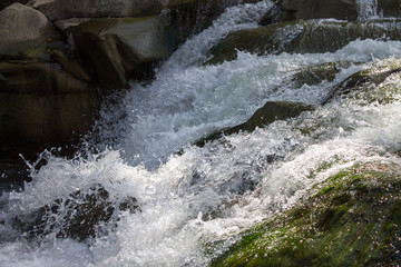 waterfall in the forest