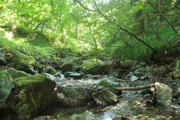 川　源流