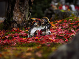 紅葉