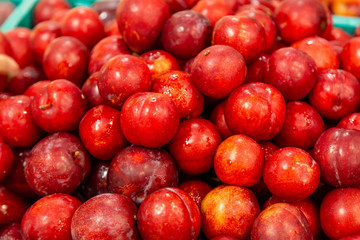 Fresh red plums