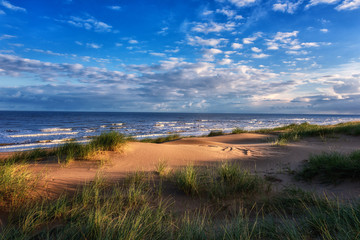 Amazing nature landscape with sand dunes, green grass, sea and fantastic blue sky with clouds. Natural outdoor travel background, Northern sea, Netherlands