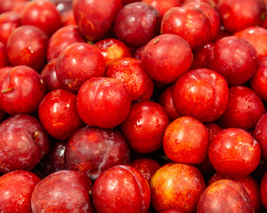Fresh red plums