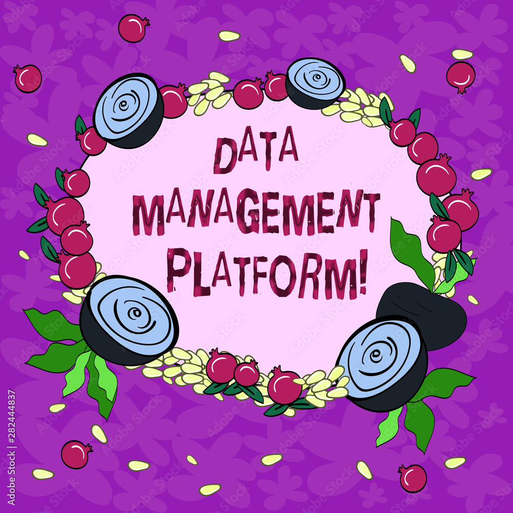 Aufkleber conceptual hand writing showing data management platform. business photo showcasing type of centrali