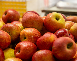 Red and yellow apples