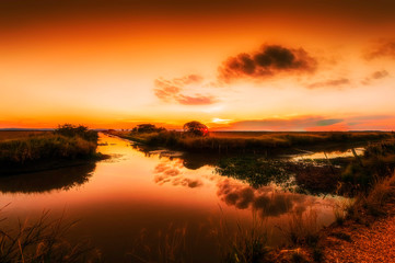 Obraz na płótnie Canvas Sunset Pantanal