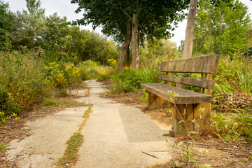 Fototapeta na wymiar Wooden bench in an abandoned park