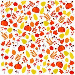 Vector illustration. Beautiful, bright pattern with autumn leaves, berries, pumpkin, apple. White background.