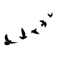 Black grunge flying birds silhouettes isolated on white background