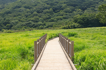 長者原　タデ原湿原（夏）遊歩道　大分県九重町　日本