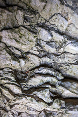 Wet stone texture. Nature background