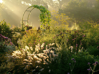 Horizontal image of a country garden in fall (autumn) with flowers, ornamental grasses, an arbor (arch), and fence lit by sunbeams from sunrise - obrazy, fototapety, plakaty