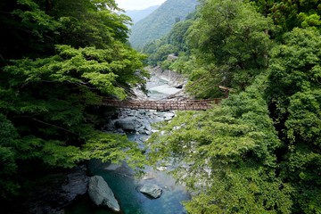 祖谷のかずら橋 日本の四国地方　徳島県にある葛でできた橋です　祖谷のかずら橋観光名所です