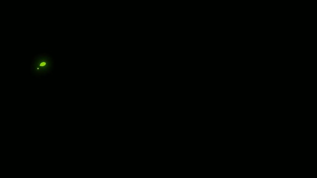Magic Paint Stroke Shape Fx Animation/ 4k animation of an abstract magic paint stroke shape background