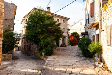 Fototapeta na wymiar View of typical istrian alley in Villa - Bale, Croatia