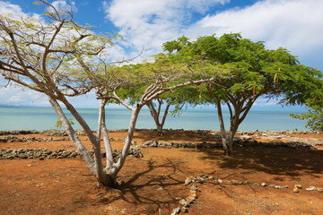 Ruins of La Isabella settlement in Puerto Plata, Dominican Republic. La Isabella was founded by Christopher Columbus in 1493.