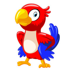 cute red parrot cartoon with good posing