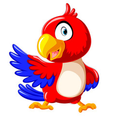 Fototapeta premium cute red parrot cartoon with presentation