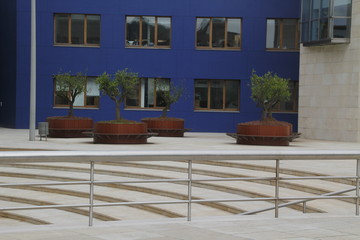 Modern architecture in the downtown of Bilbao