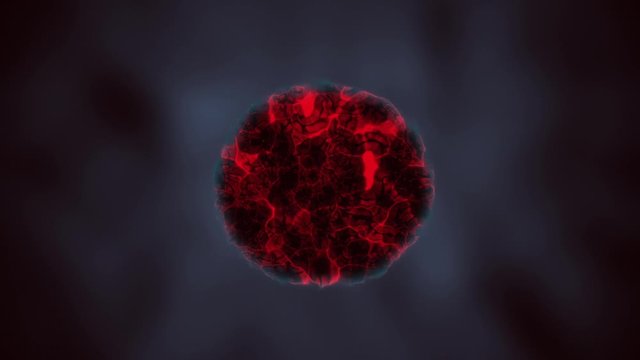 Biological Animation of Cancer Cell Division