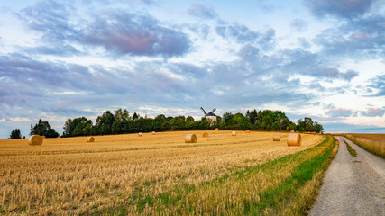Obraz premium Blick über einen Acker zur Windmühle in Syrau, Sachsen