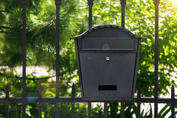 Black iron mailbox mounted on a metal fence on a green plan with green trees on a sunny day.