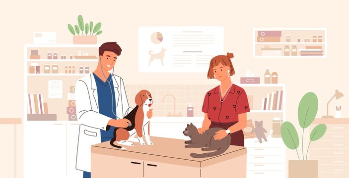 Smiling veterinarian examining dog and cat. Vet doctor curing cute pets. Veterinary clinic, healthcare service or medical center for domestic animals. Flat cartoon colorful vector illustration.