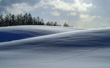 beautiful winter hill