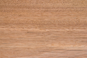 Texture of wood background