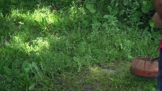 Close up. Man Gardener mowing lawn  with gasoline brush cutter, slow motion. Lawn mowing.