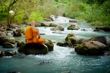 Buddha monk practice meditation at waterfall in rain forest