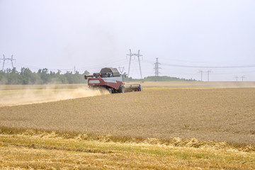 Harvester in dust clubs at work on the harvest of wheat on a huge field in the summer. Thus, the...