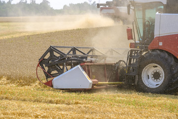 Harvester in dust clubs at work on the harvest of wheat on a huge field in the summer. Thus, the...