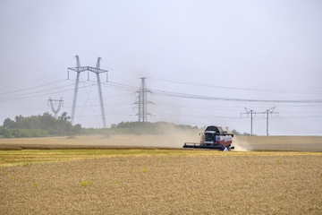 Fototapeta premium Harvester in dust clubs at work on the harvest of wheat on a huge field in the summer. Thus, the birth of bread occurs.