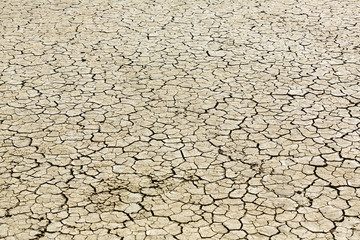 Cracked playa mud texture from the desert